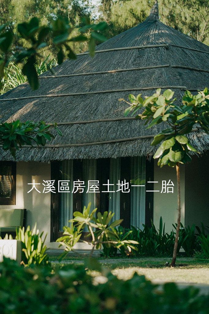 大溪區房屋土地一二胎