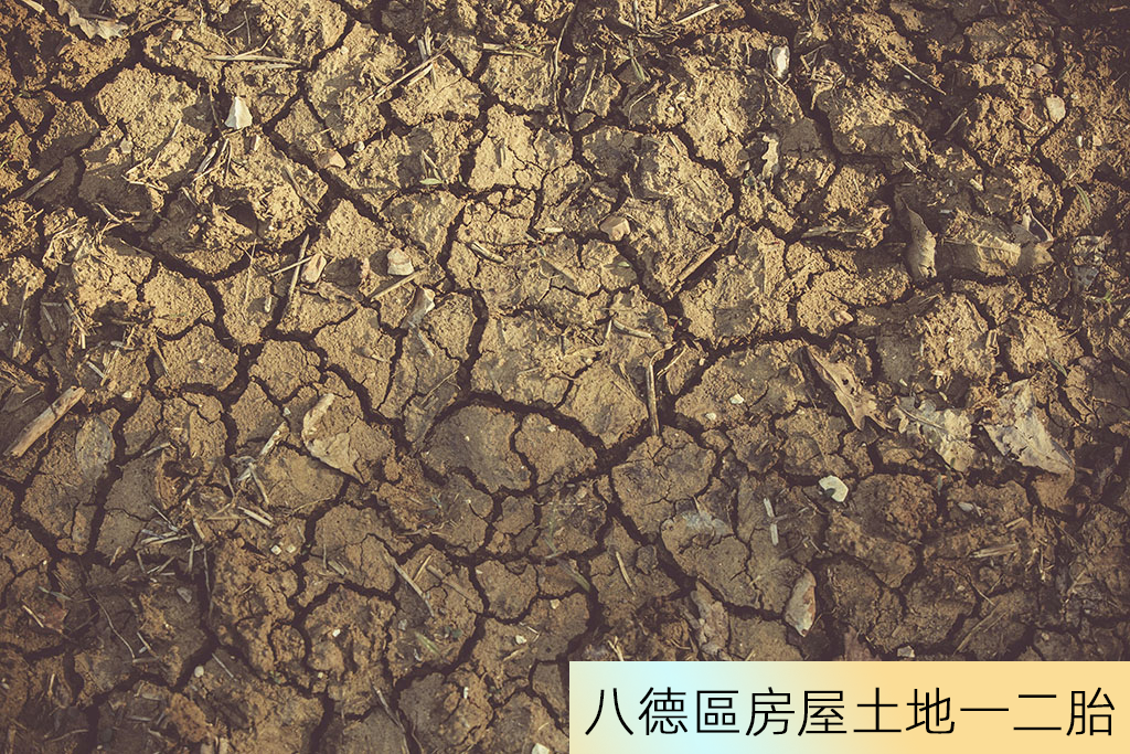 八德區房屋土地一二胎